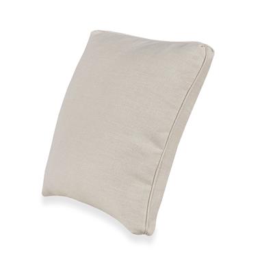 Butterfly Corner Throw Pillow